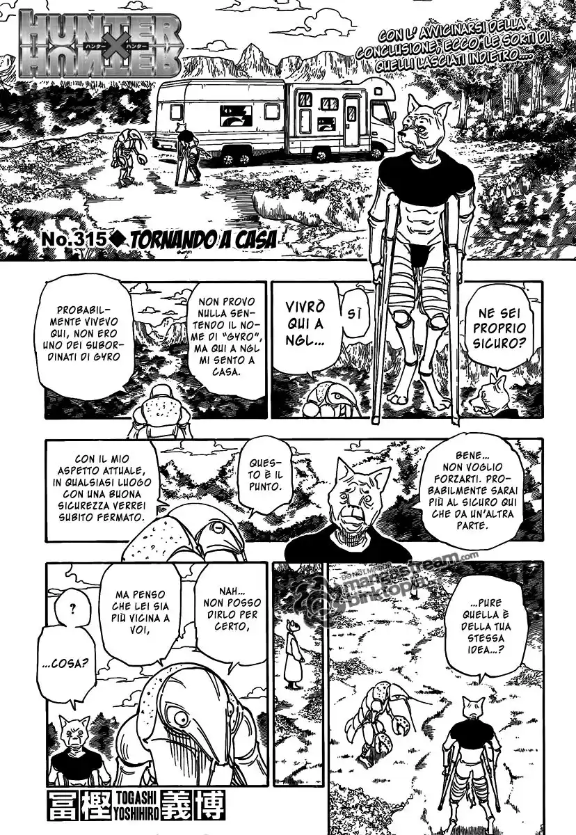 Hunter x Hunter Capitolo 315 page 2