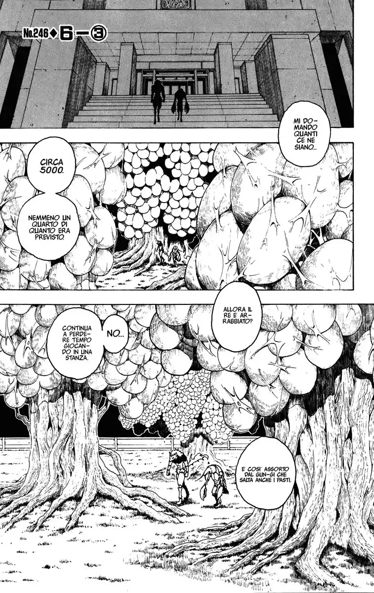 Hunter x Hunter Capitolo 246 page 2