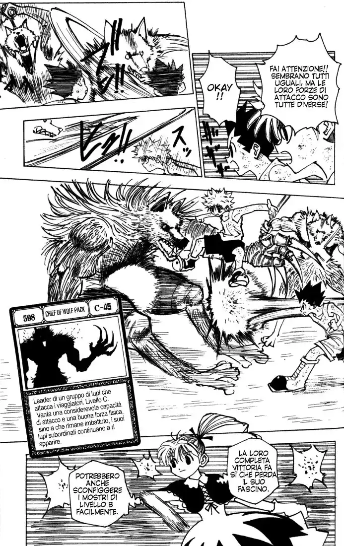 Hunter x Hunter Capitolo 146 page 10