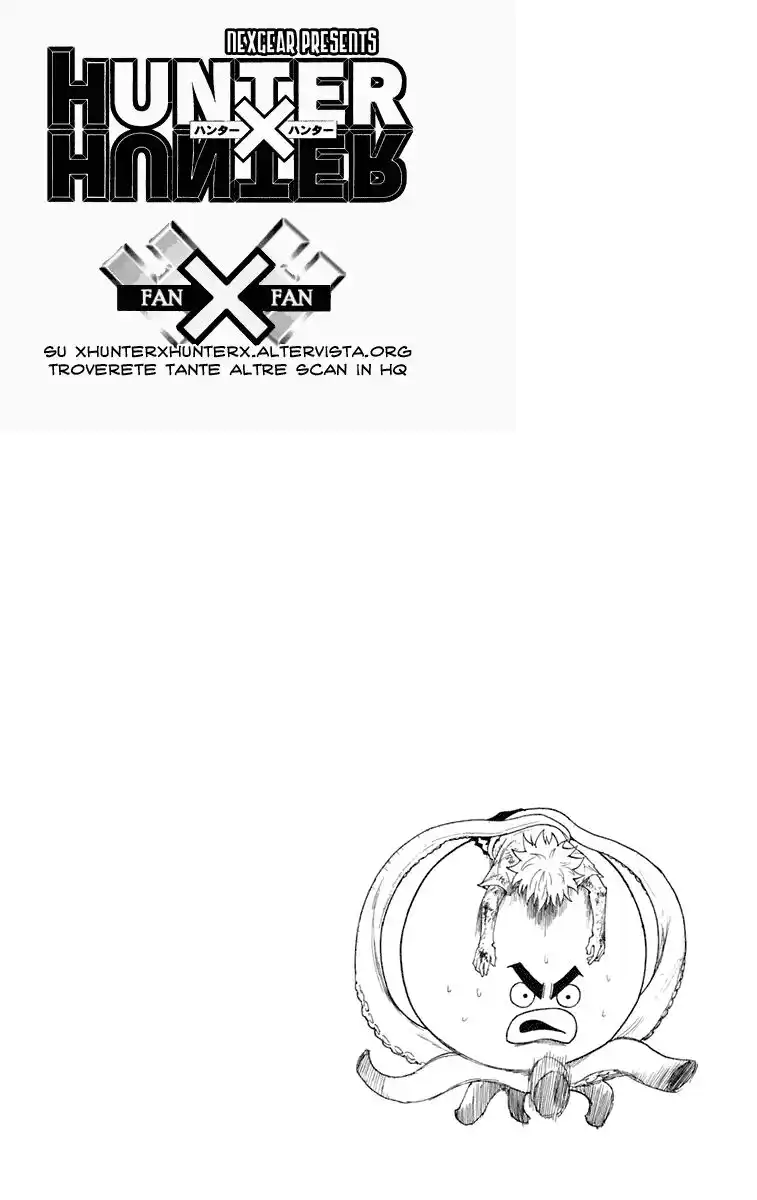 Hunter x Hunter Capitolo 241 page 17