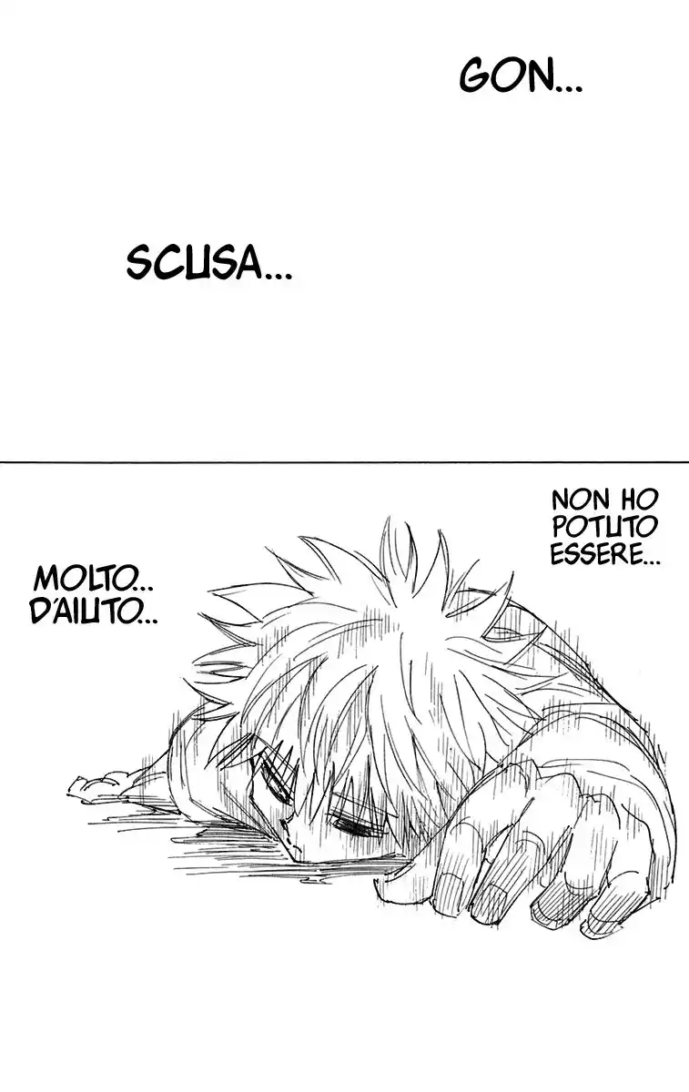 Hunter x Hunter Capitolo 241 page 6