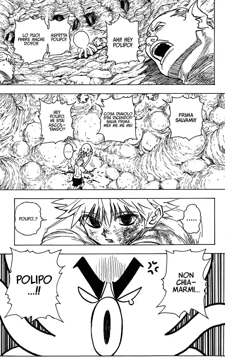 Hunter x Hunter Capitolo 241 page 8