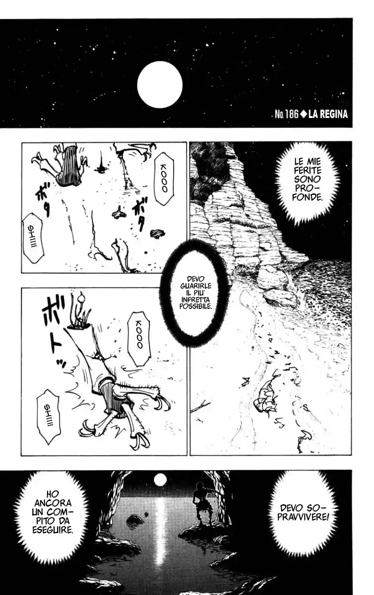 Hunter x Hunter Capitolo 186 page 1