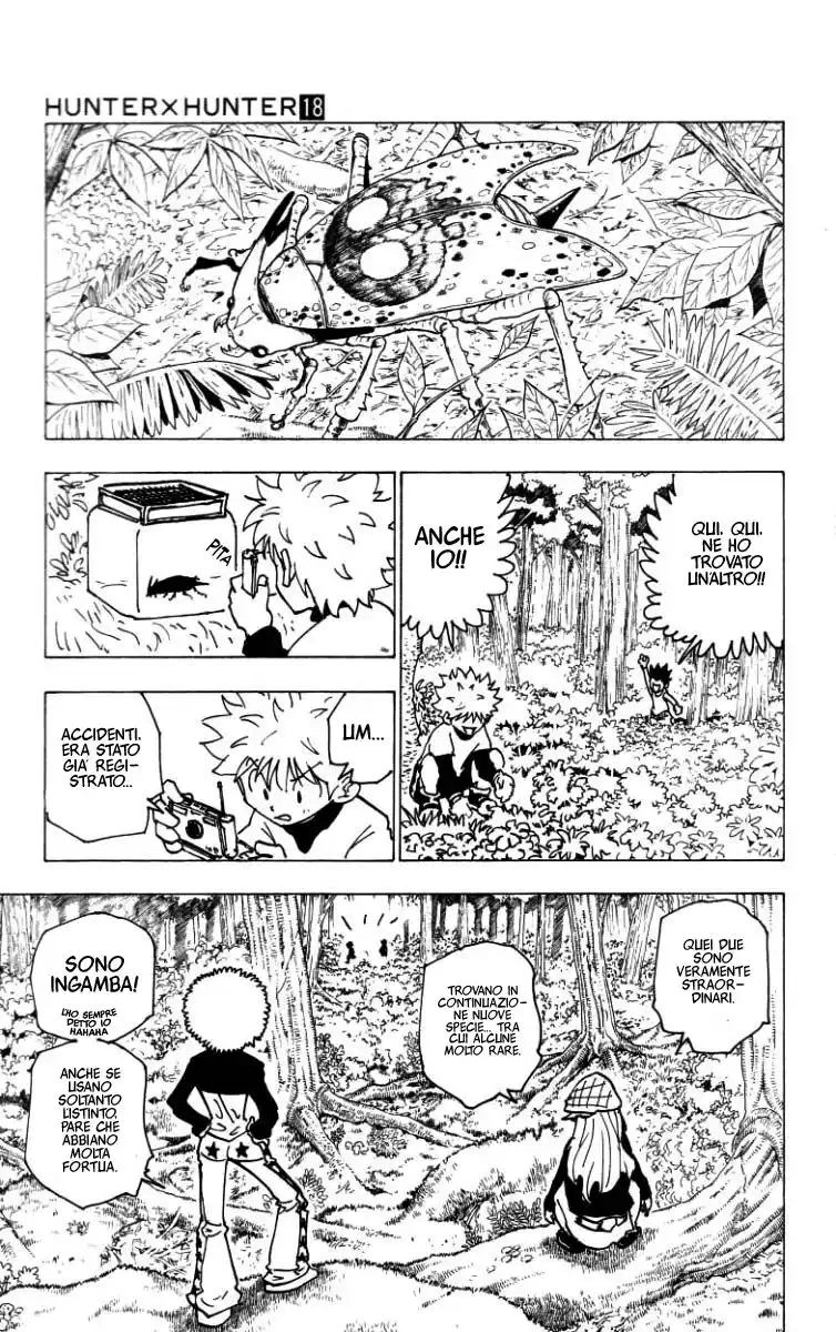 Hunter x Hunter Capitolo 186 page 11