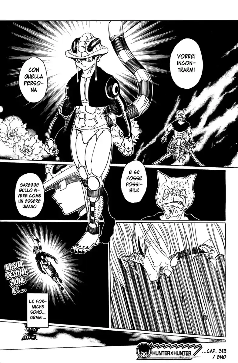 Hunter x Hunter Capitolo 313 page 15