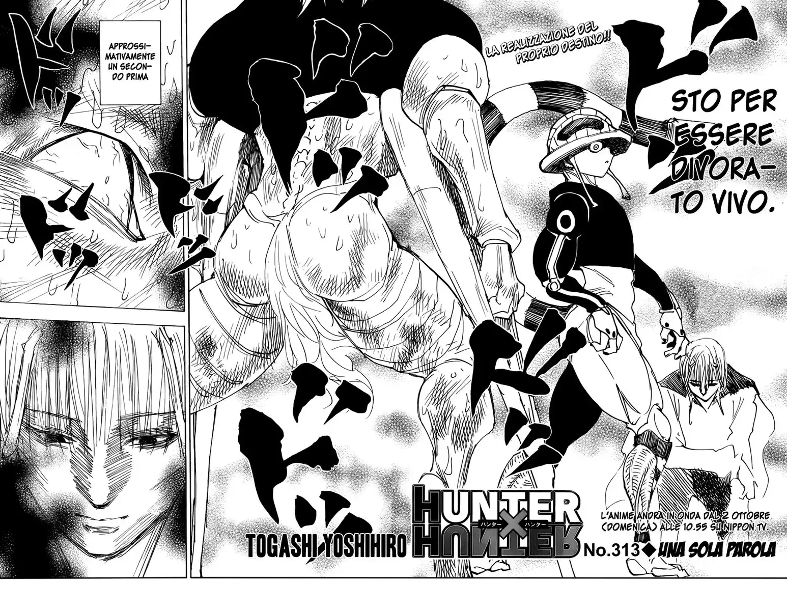 Hunter x Hunter Capitolo 313 page 3