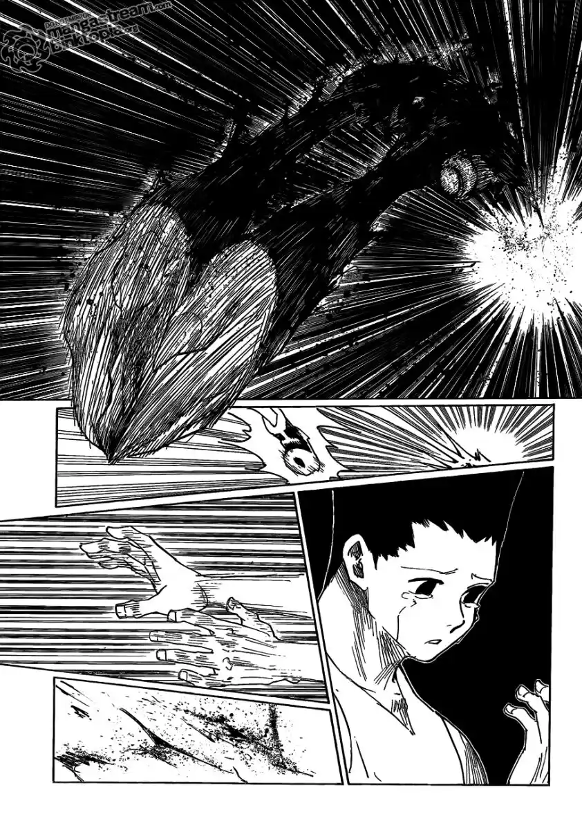 Hunter x Hunter Capitolo 307 page 7