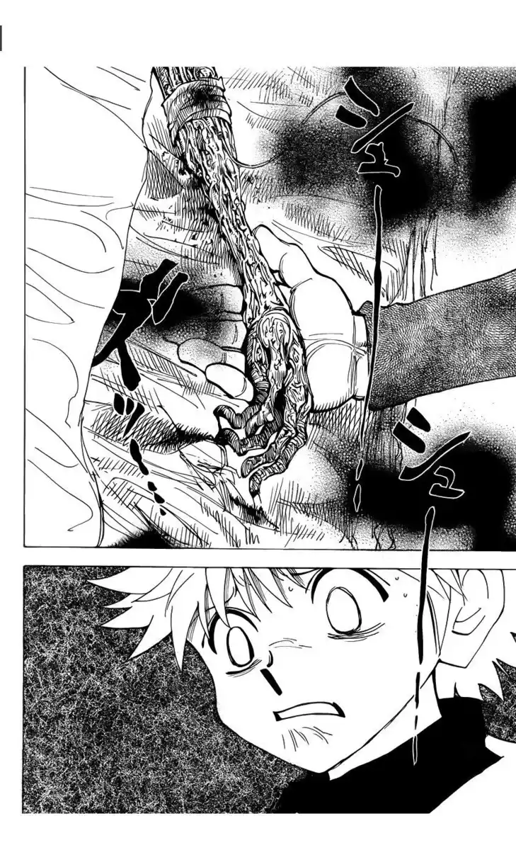 Hunter x Hunter Capitolo 333 page 11