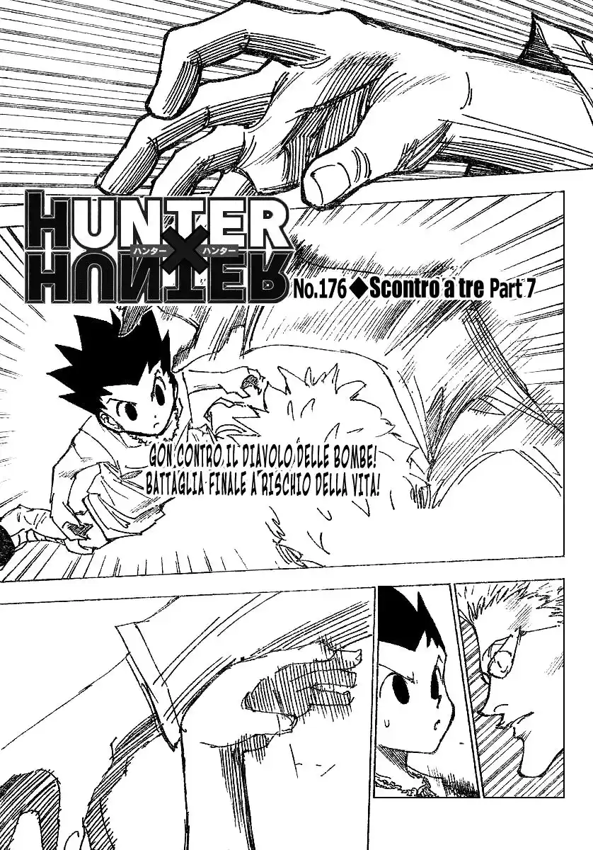 Hunter x Hunter Capitolo 176 page 2