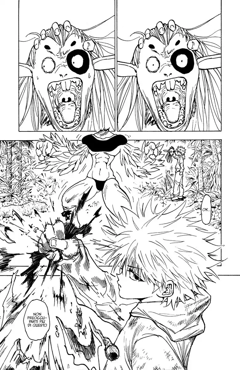 Hunter x Hunter Capitolo 219 page 15