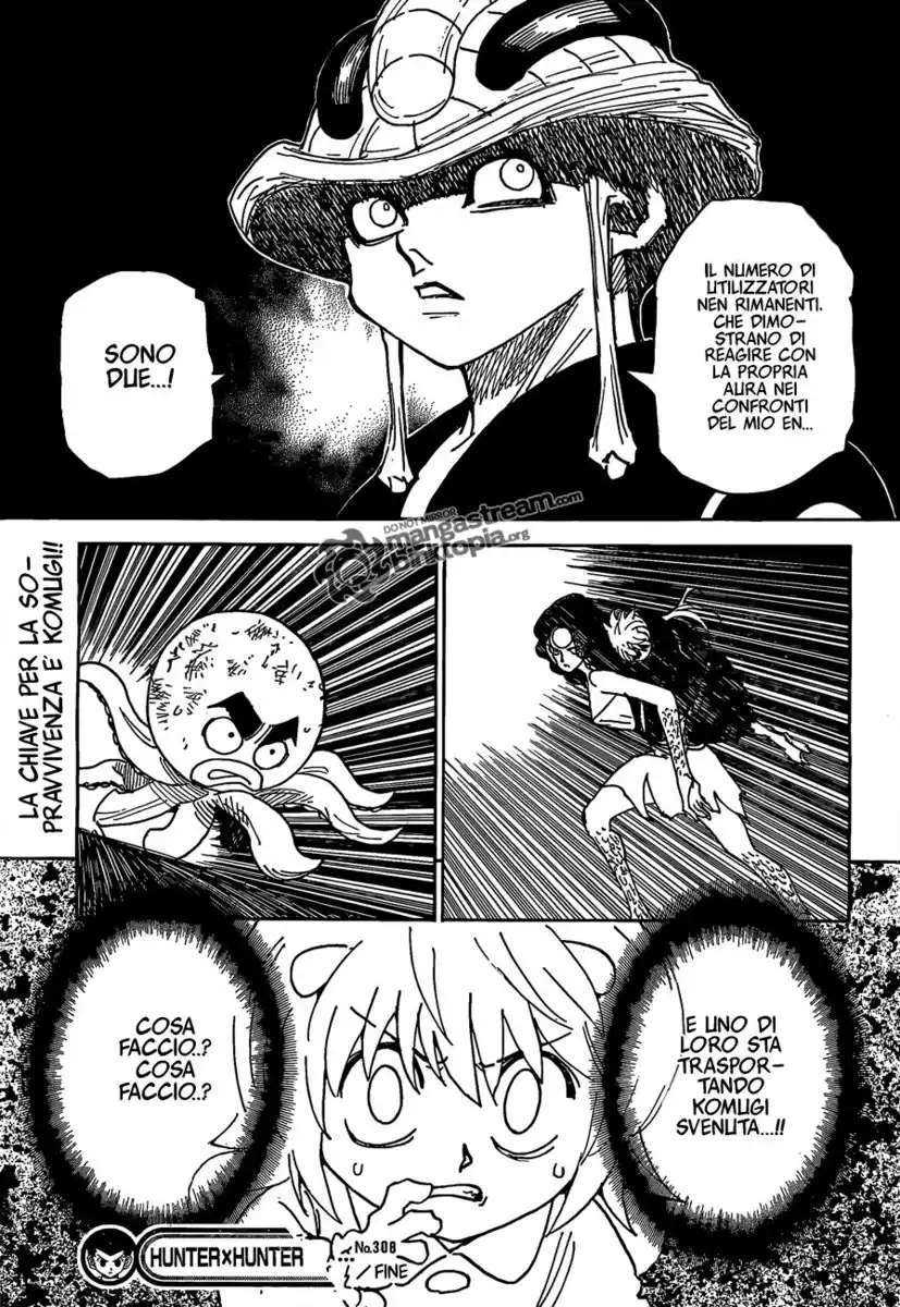 Hunter x Hunter Capitolo 308 page 17