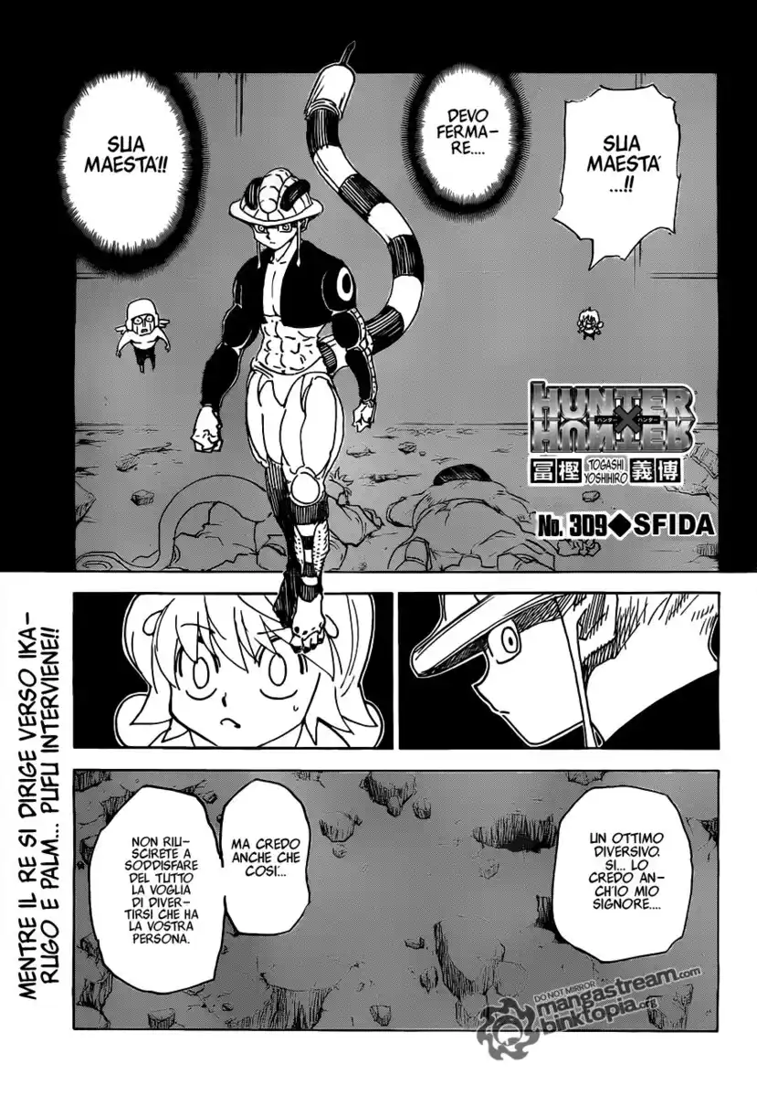 Hunter x Hunter Capitolo 309 page 2