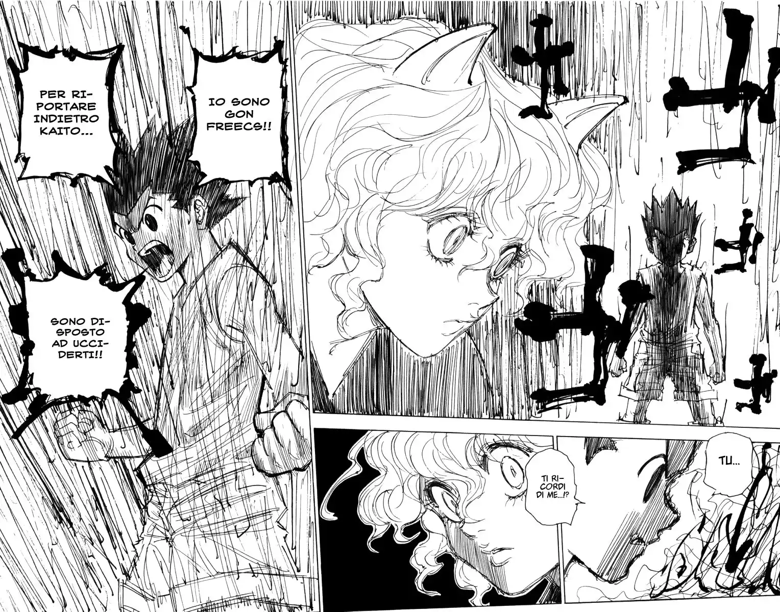 Hunter x Hunter Capitolo 273 page 19