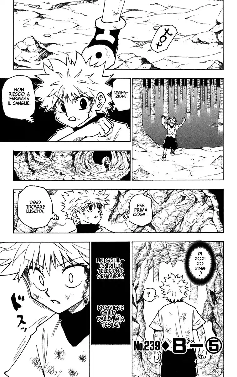 Hunter x Hunter Capitolo 239 page 1