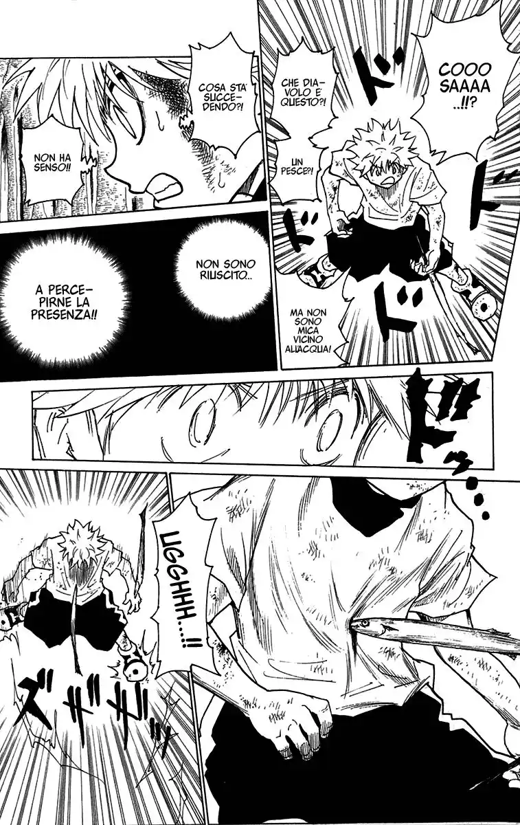 Hunter x Hunter Capitolo 239 page 3