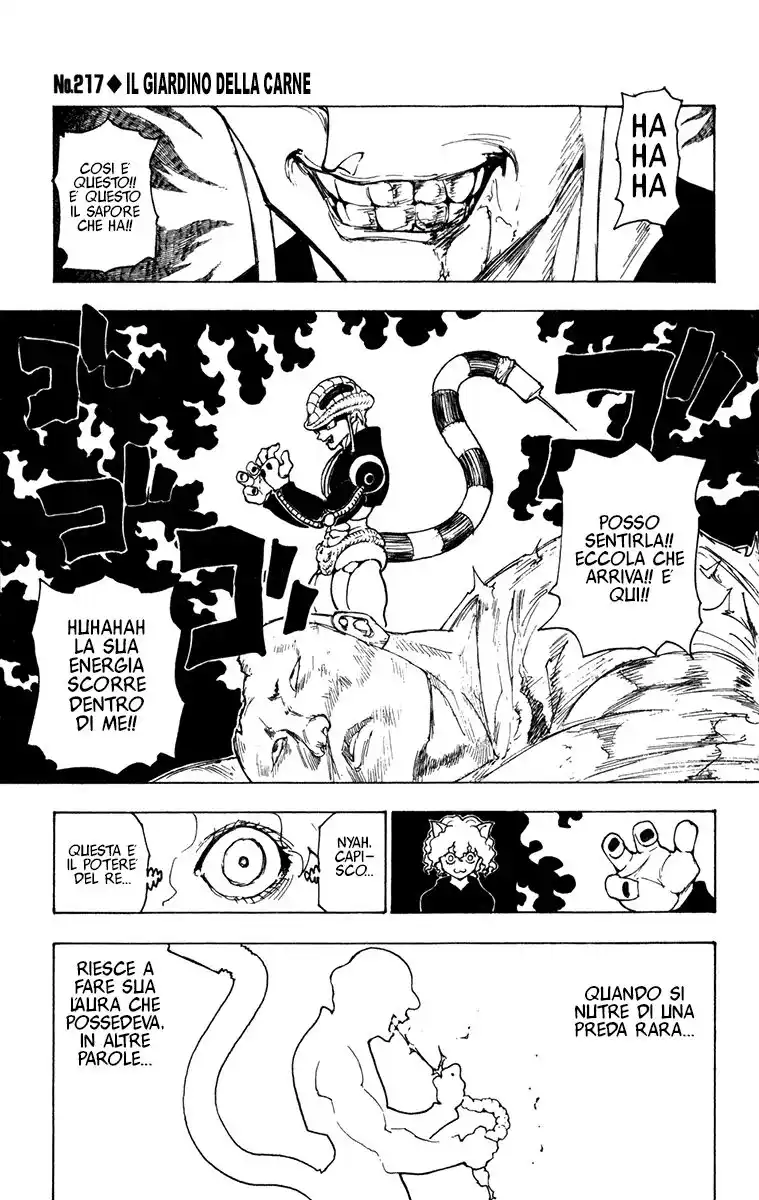 Hunter x Hunter Capitolo 217 page 1