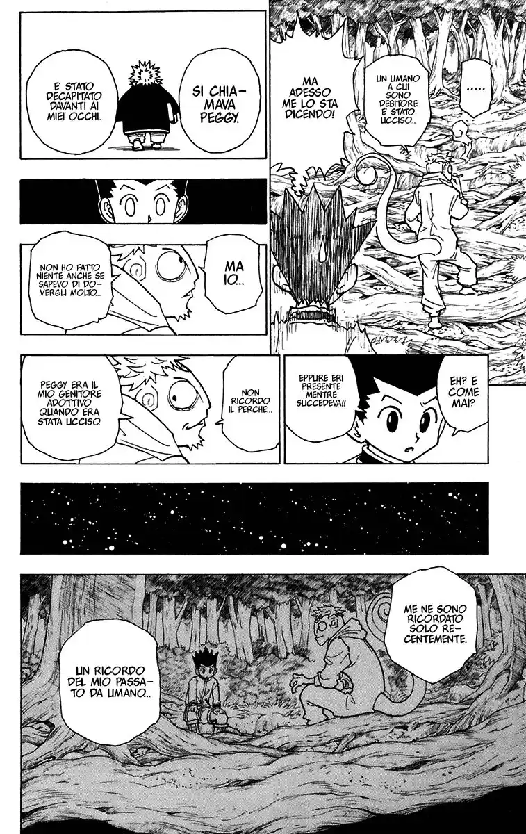 Hunter x Hunter Capitolo 242 page 13