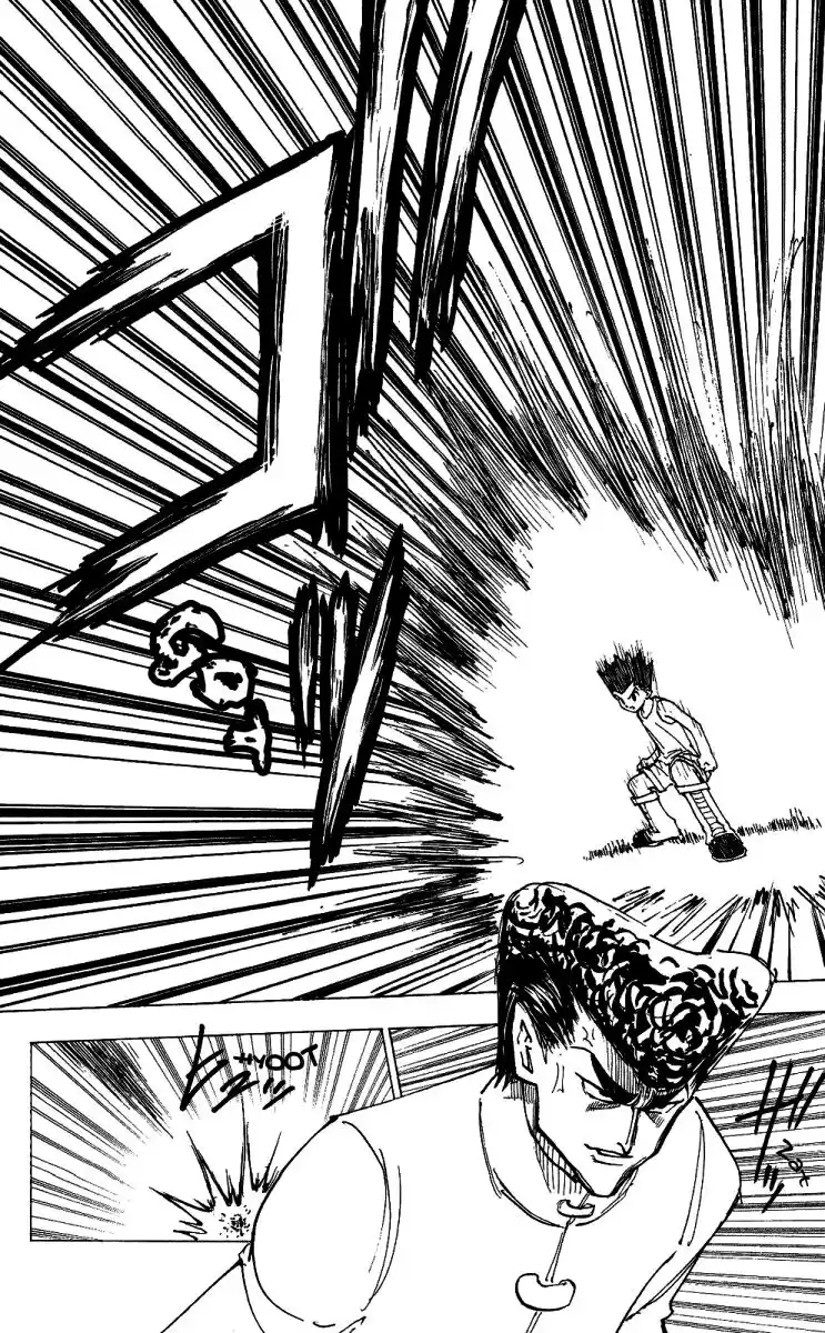 Hunter x Hunter Capitolo 206 page 7