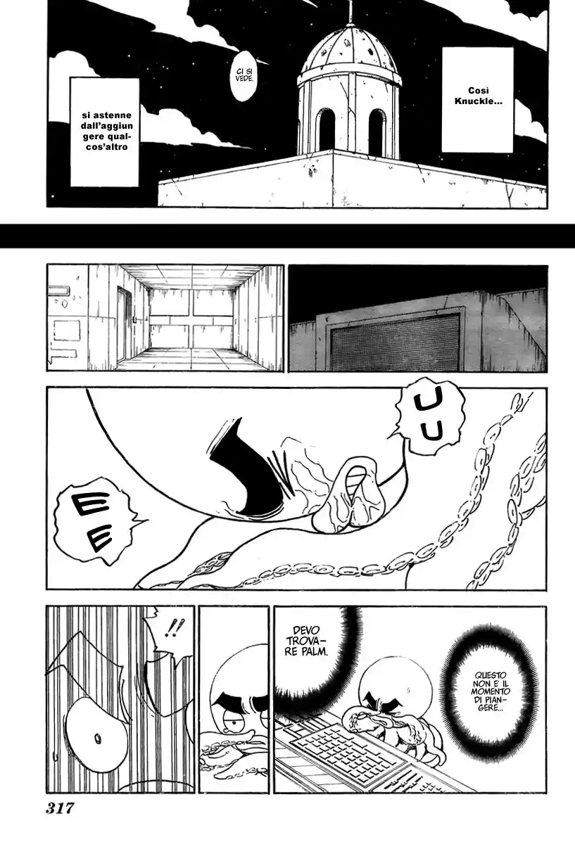 Hunter x Hunter Capitolo 295 page 17