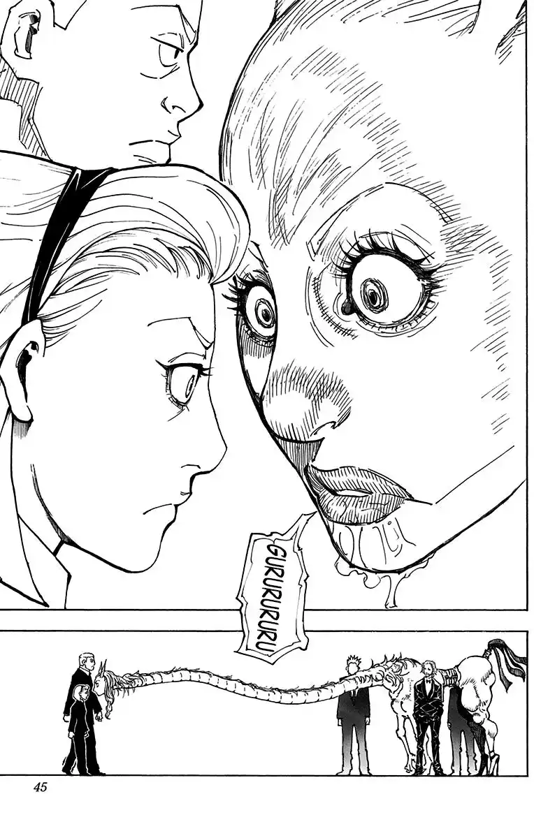 Hunter x Hunter Capitolo 362 page 17