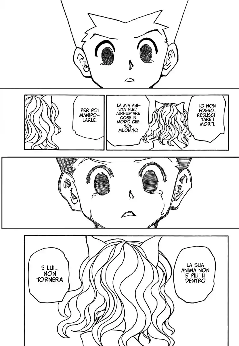 Hunter x Hunter Capitolo 304 page 15