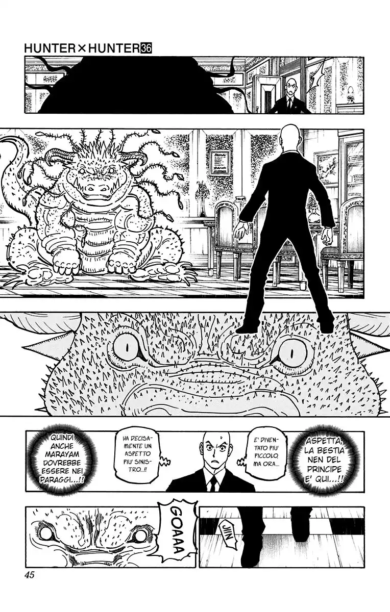 Hunter x Hunter Capitolo 372 page 17