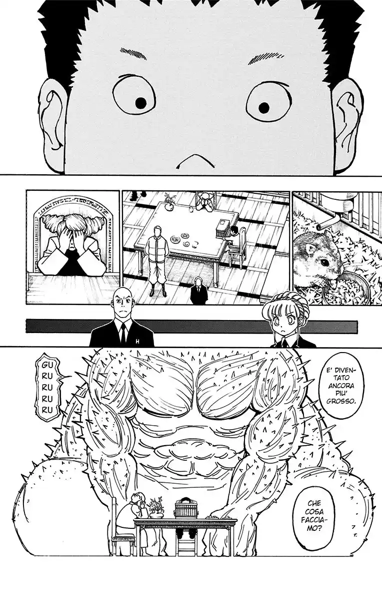 Hunter x Hunter Capitolo 372 page 4