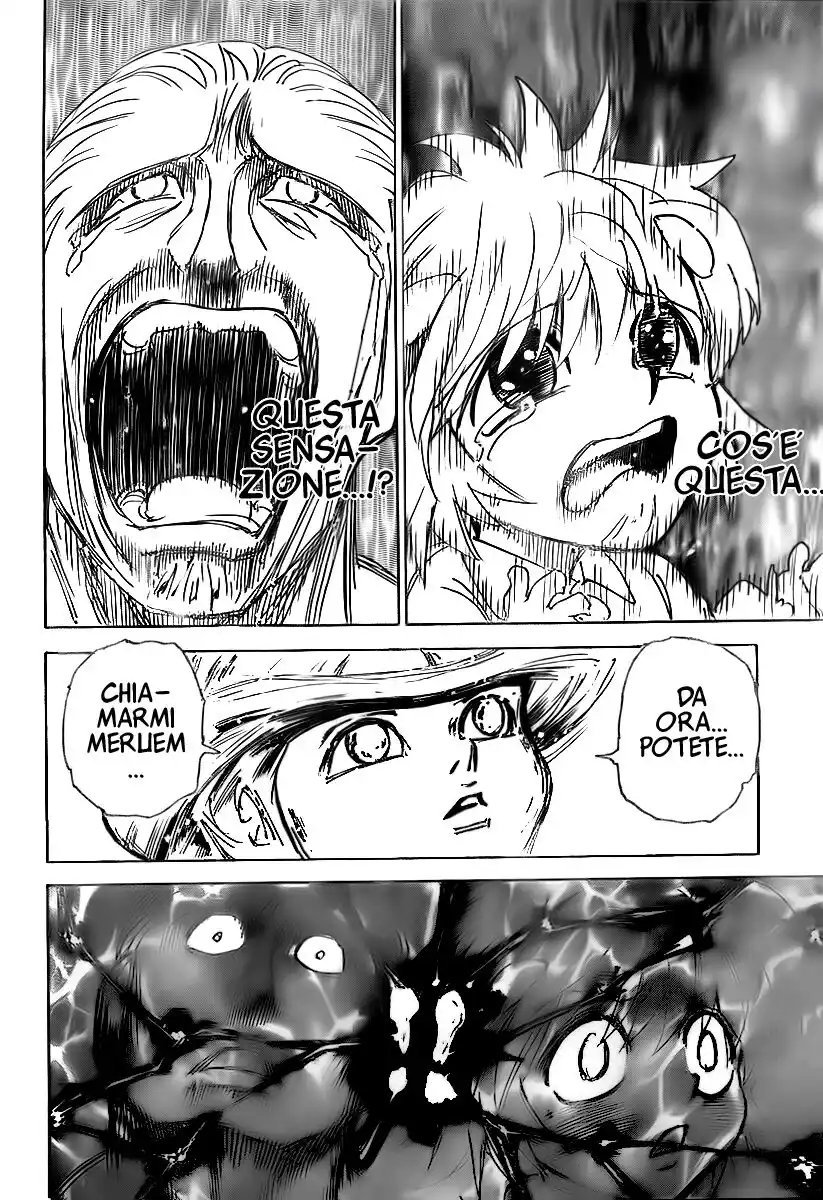 Hunter x Hunter Capitolo 299 page 14