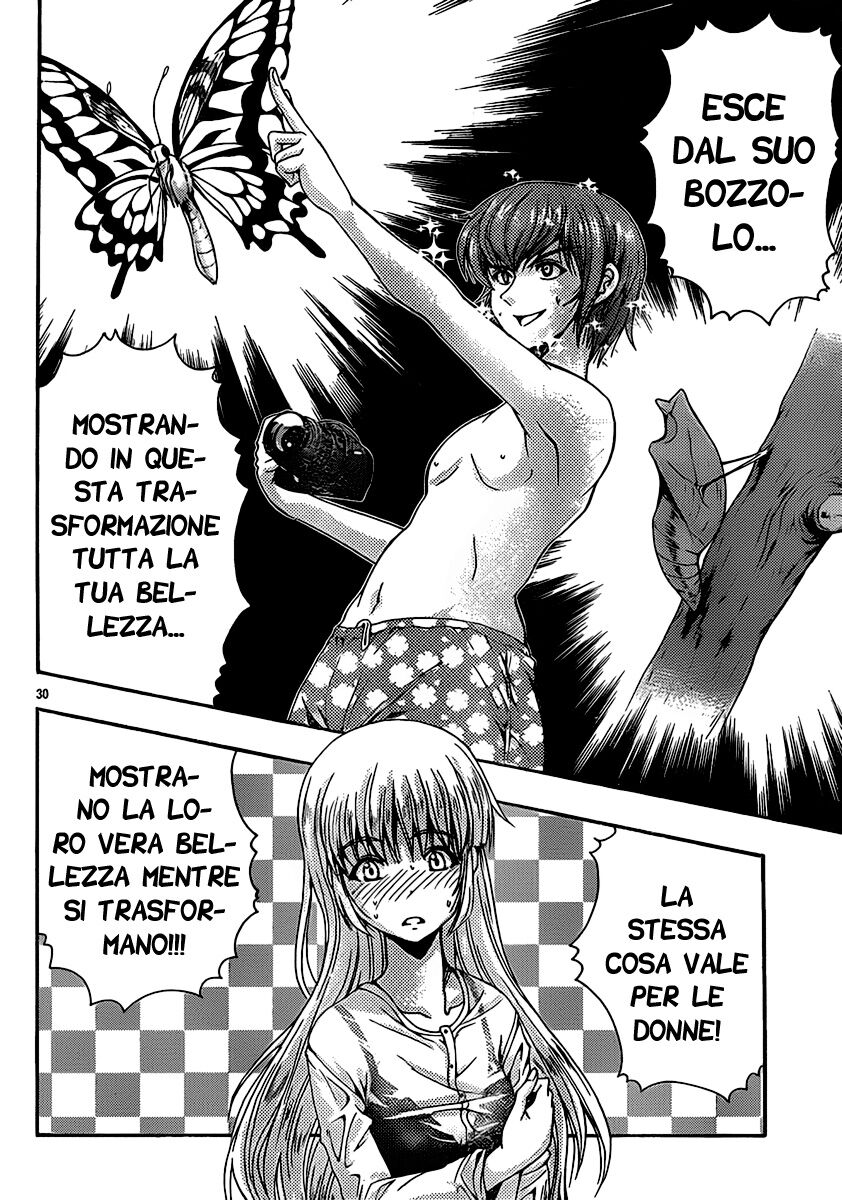 31
