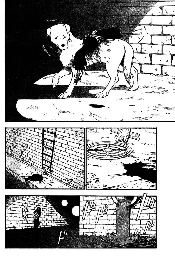 43