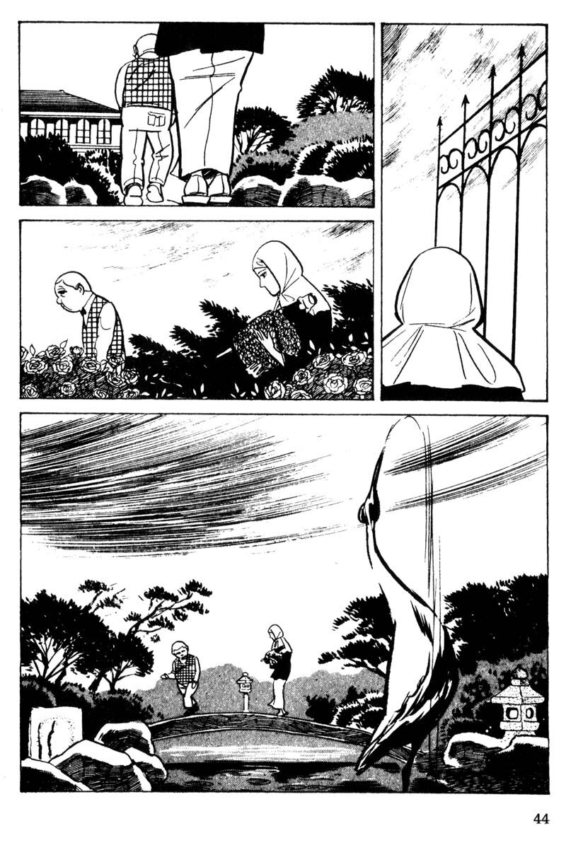 41