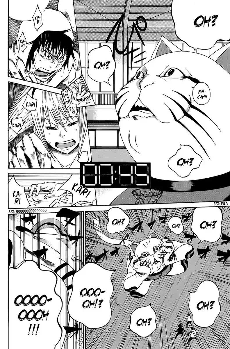 23