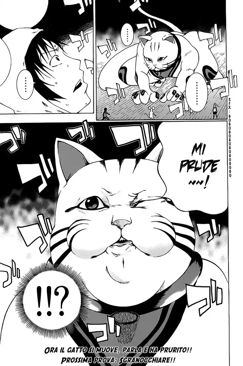 36