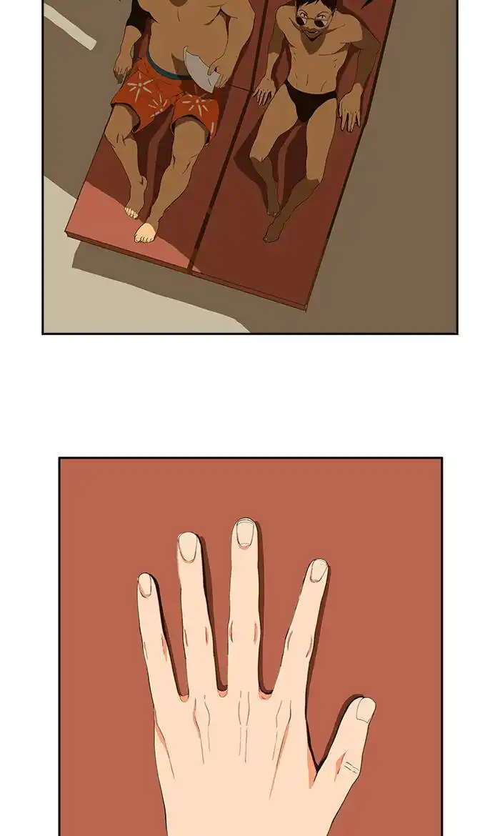 66