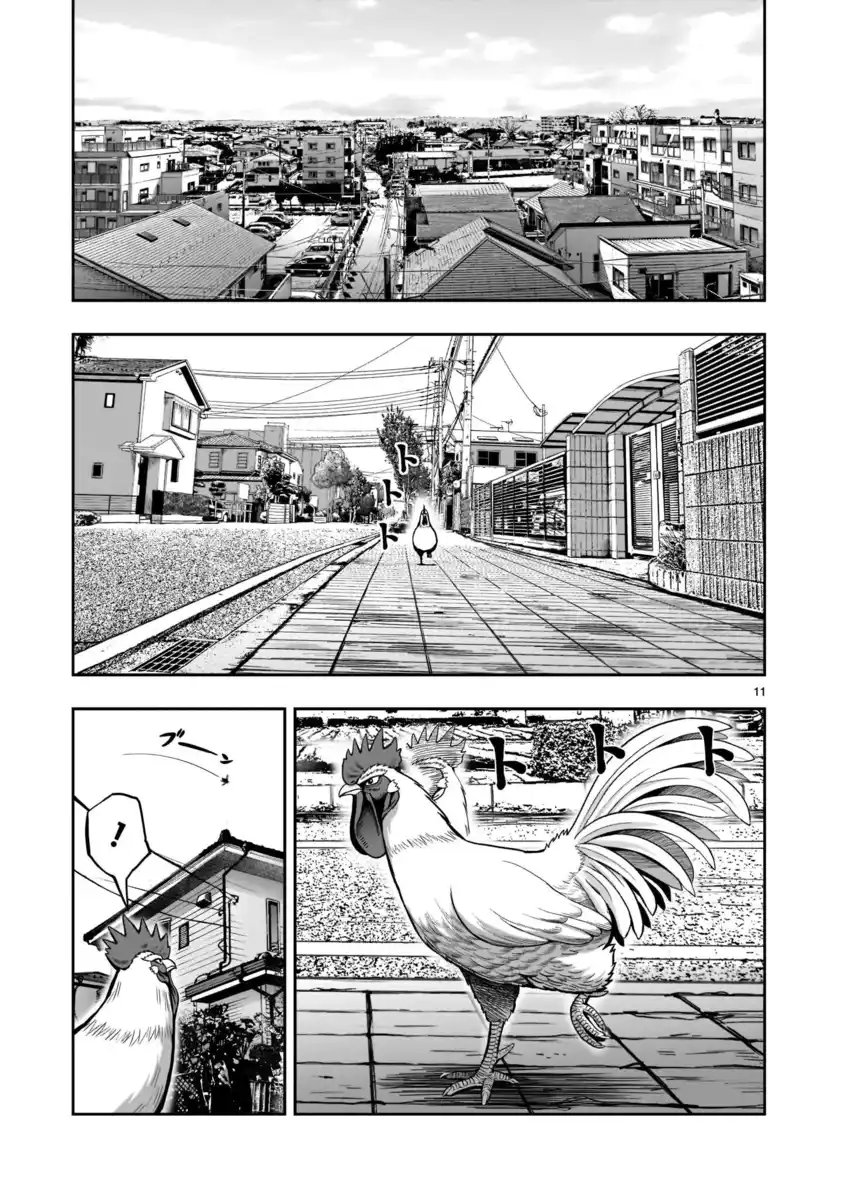 Rooster Fighter Capitolo 01 page 11