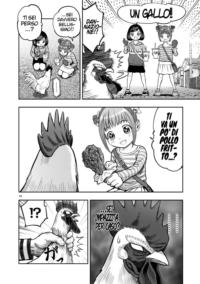 14
