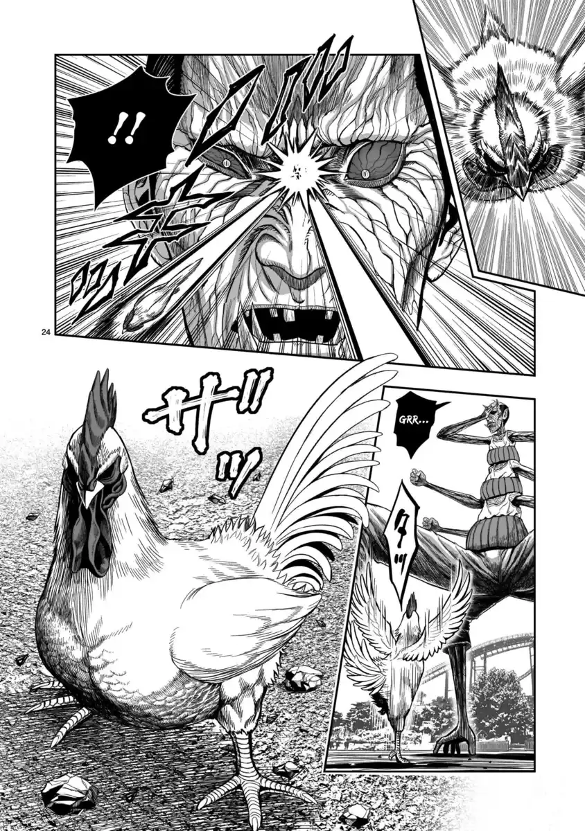 24