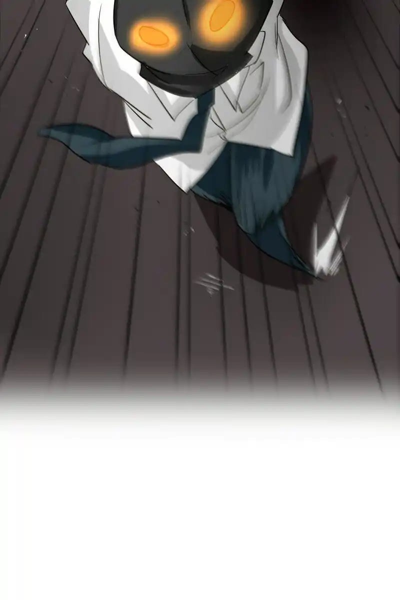 81