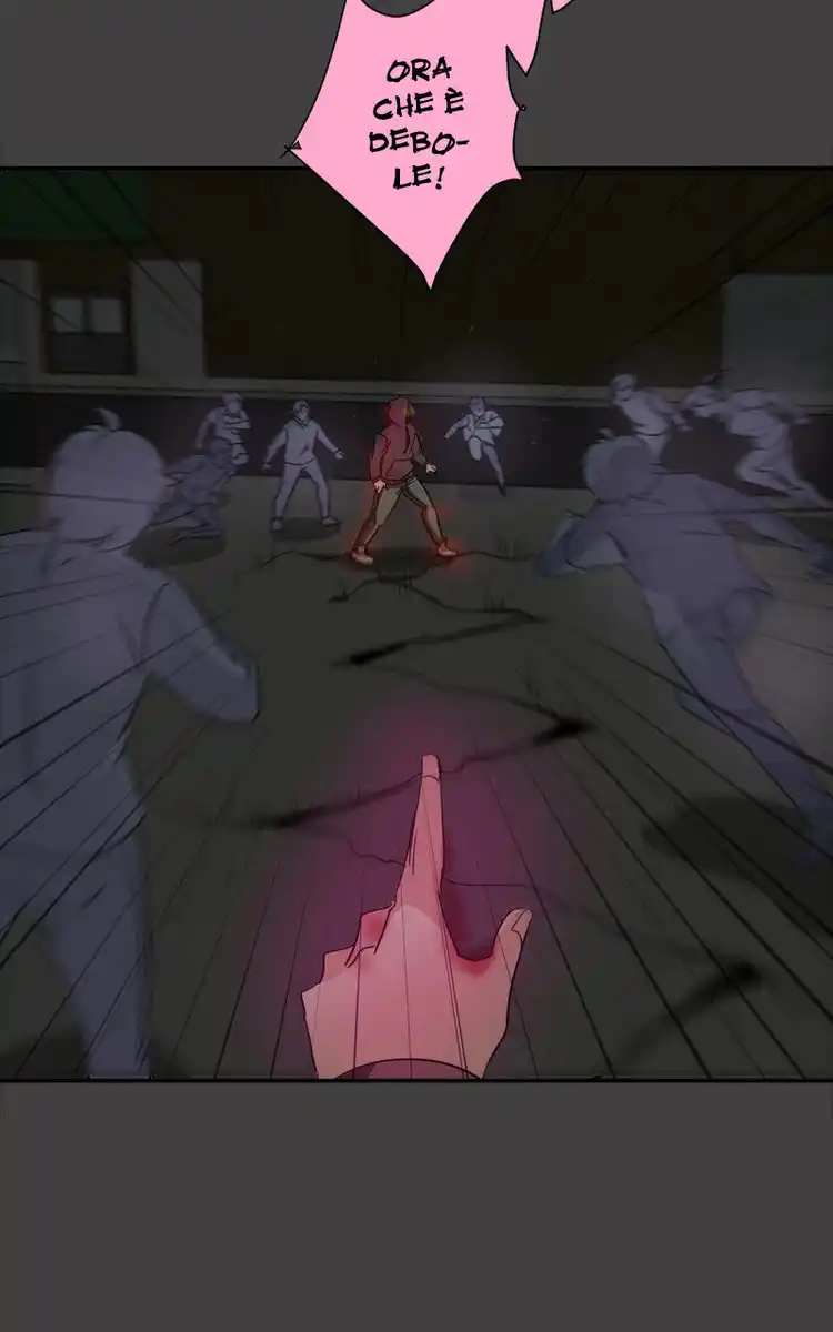 81