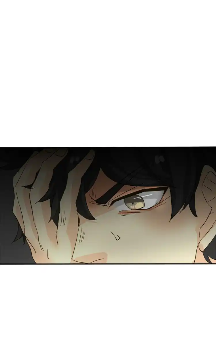113