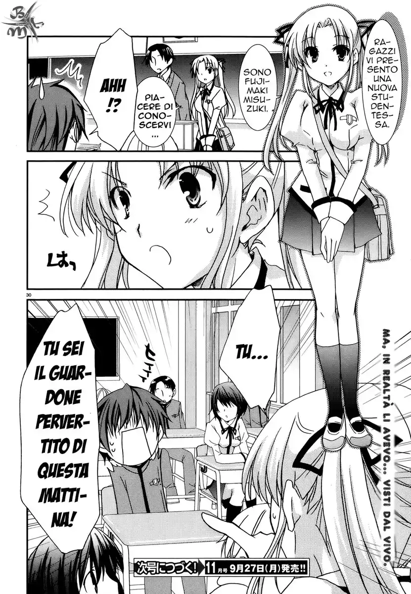 31