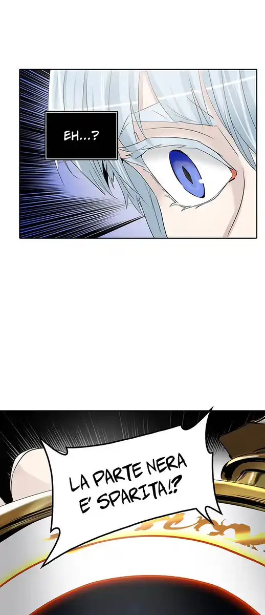 81