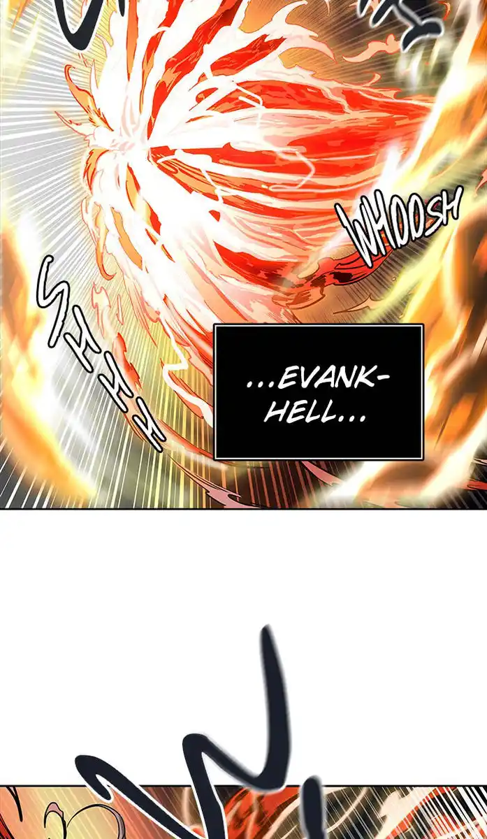 81