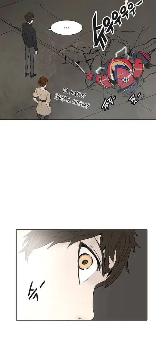 81