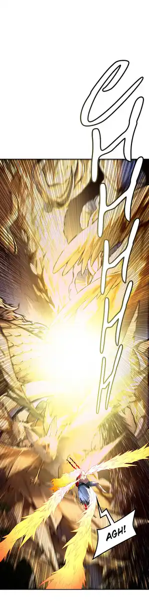 79