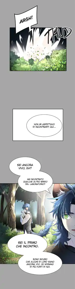 Tower of God Capitolo 109 page 13